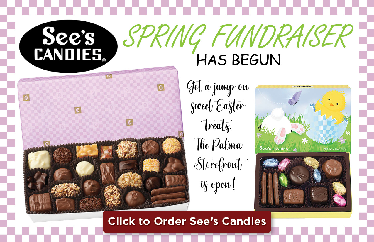 Ads - Sees Spring 1-1