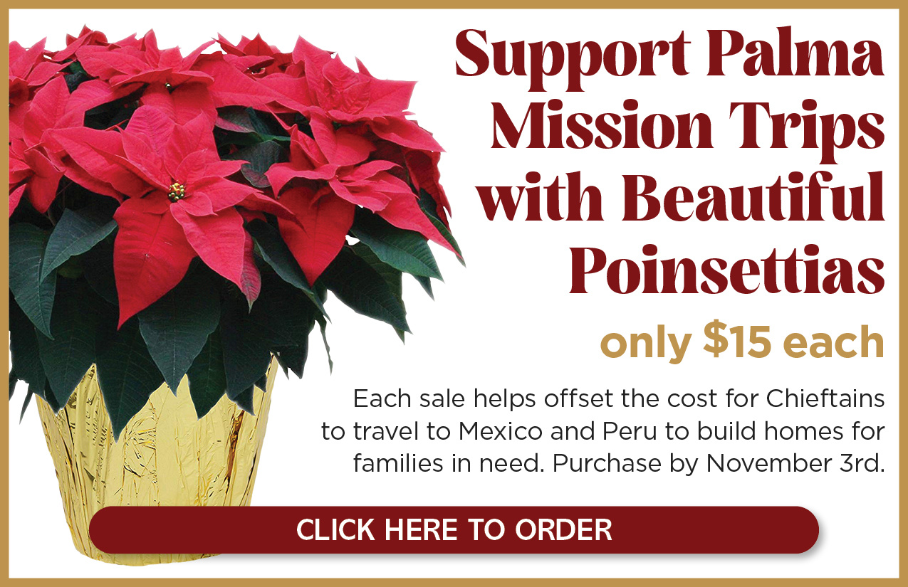 Ads - Poinsettias