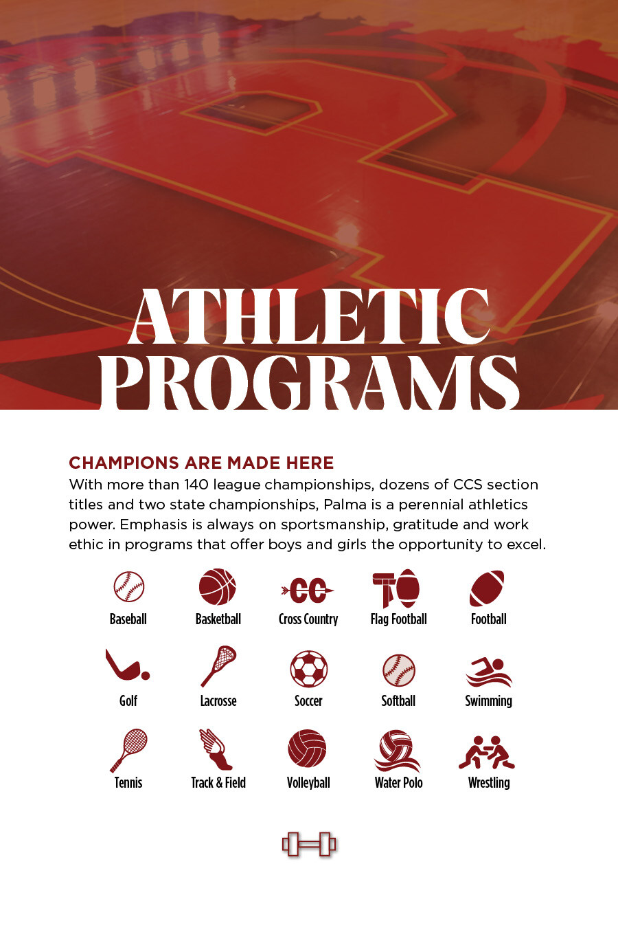 Palma Brochure8