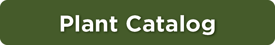 Plant Catalog